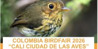 Inicia el Colombia BirdFair 2026 en Cali